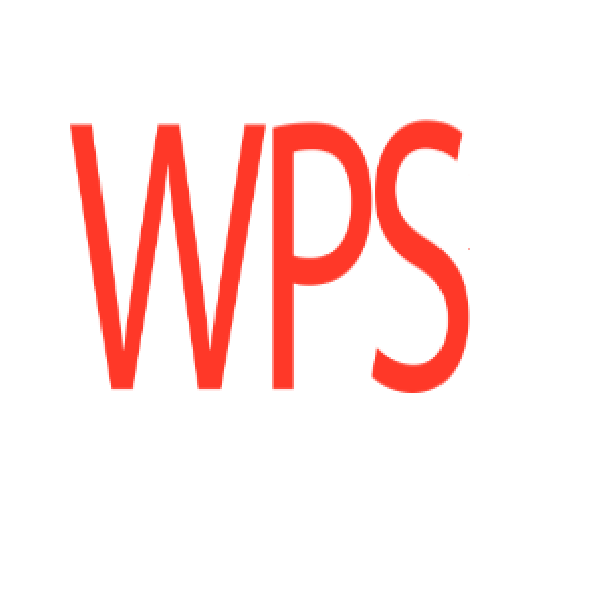 金山 WPS Office WPS+ 云套装